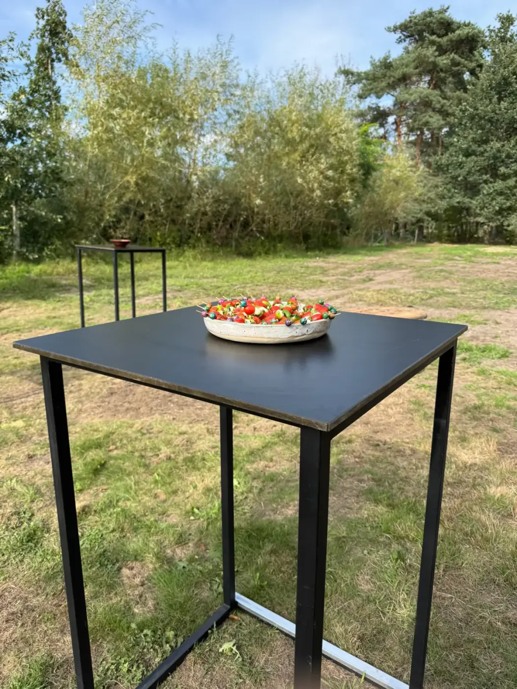 Zwarte statafel in het gras met een schaal hapjes erop, handig om meubilair te huren voor een openluchtaperitief in Hove