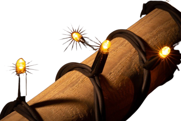 Boomverlichting Mooi Verlicht- Bomen van 4 tot 6 meter