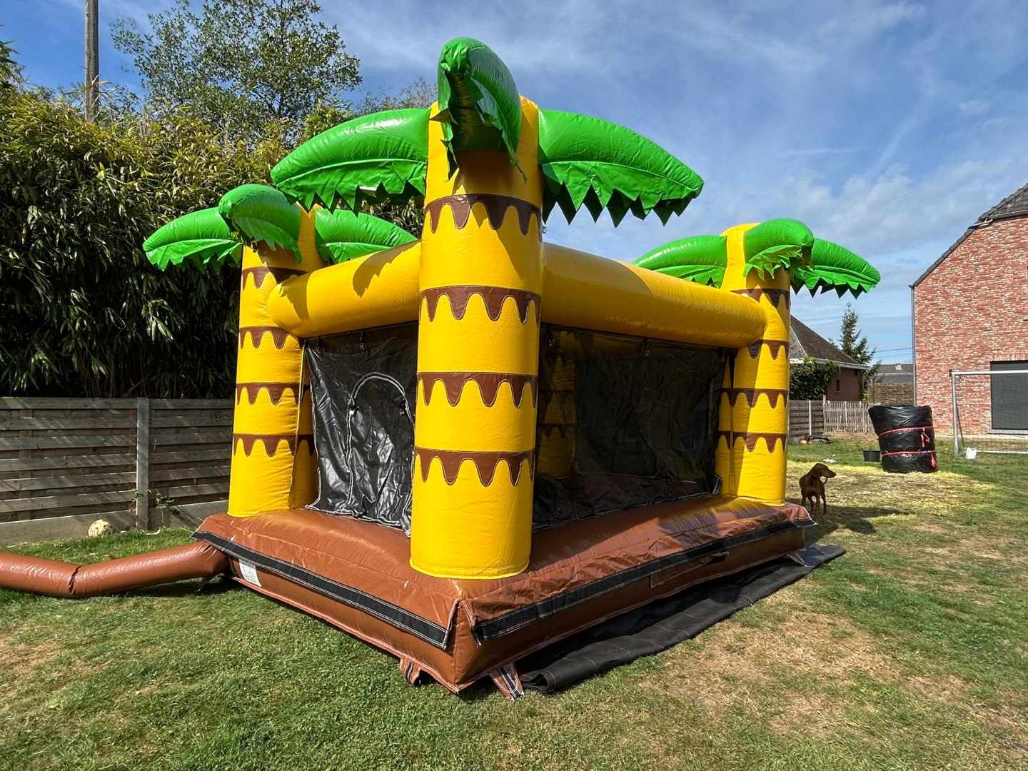 Ballenbad Jungle incl. 5000 ballen