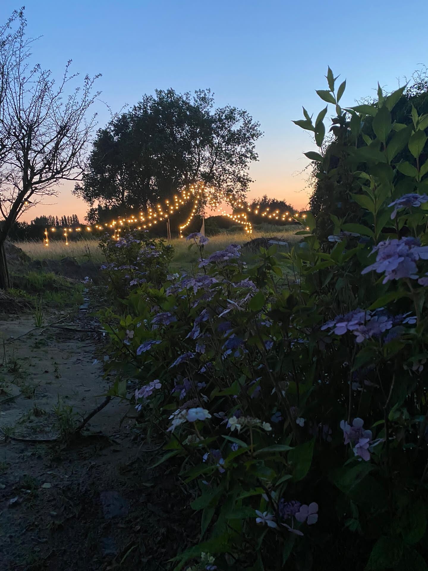 Lichtslingers voor evenement