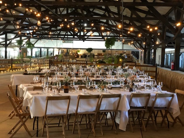 Lichtslinger Hemiksem 20m - 20 warm witte heldere lampen