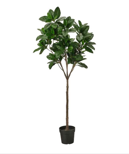 Kunstplant Magnolia 190 cm