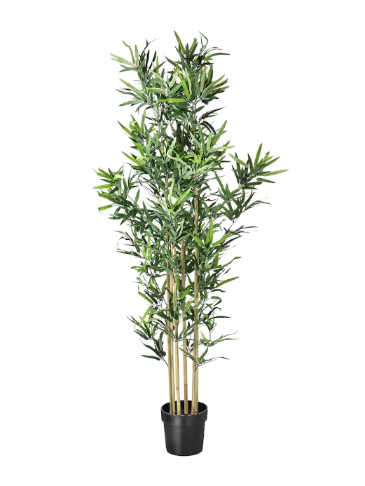 Kunstplant Bamboe 170 cm