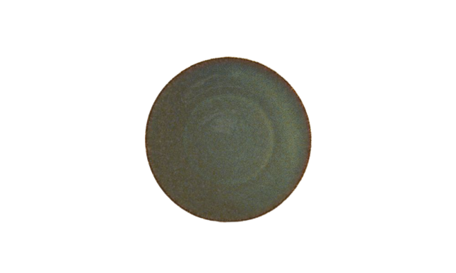 Plato bord Ø 21 cm (35 stuks)