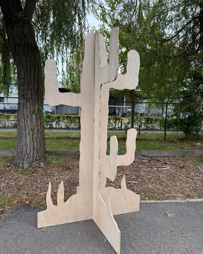 Ringwerpspel cactus hout